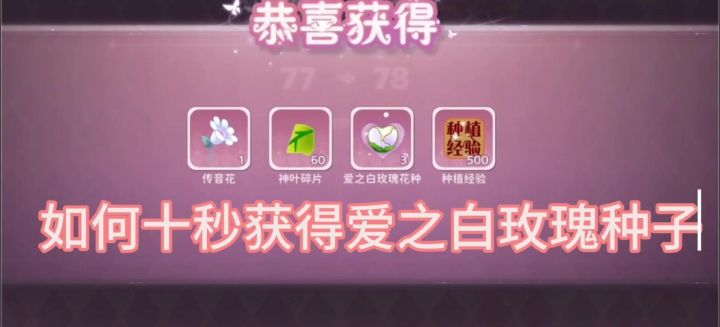 新手如何获得古早珍稀花种【爱之白玫瑰】截图