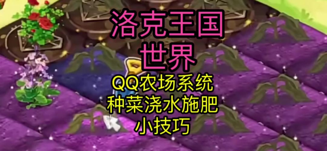 video-5597598