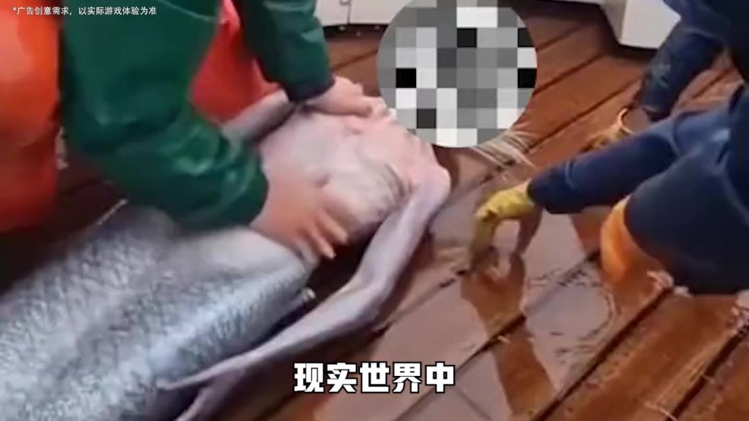 video-5598025