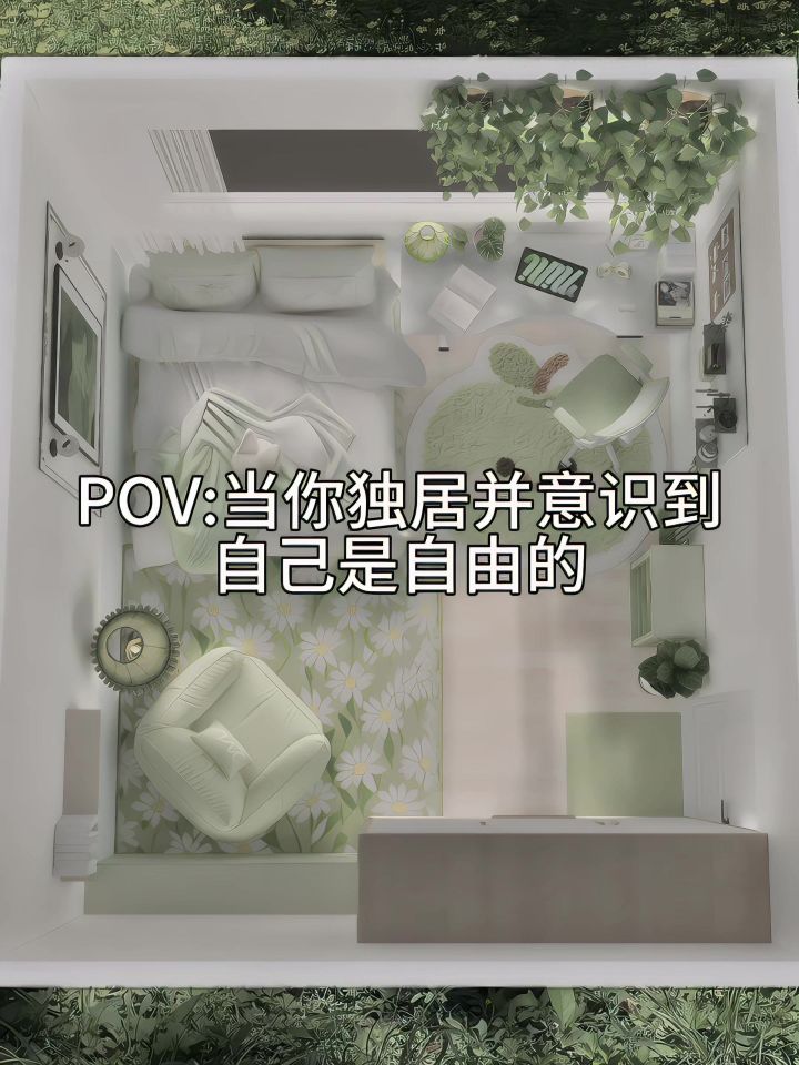 当你独居并意识到自己是自由的🍏截图