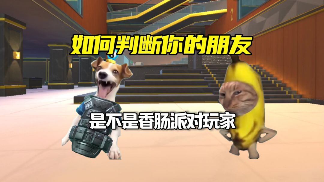 video-5600276