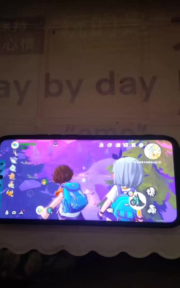 全自动抓宠截图