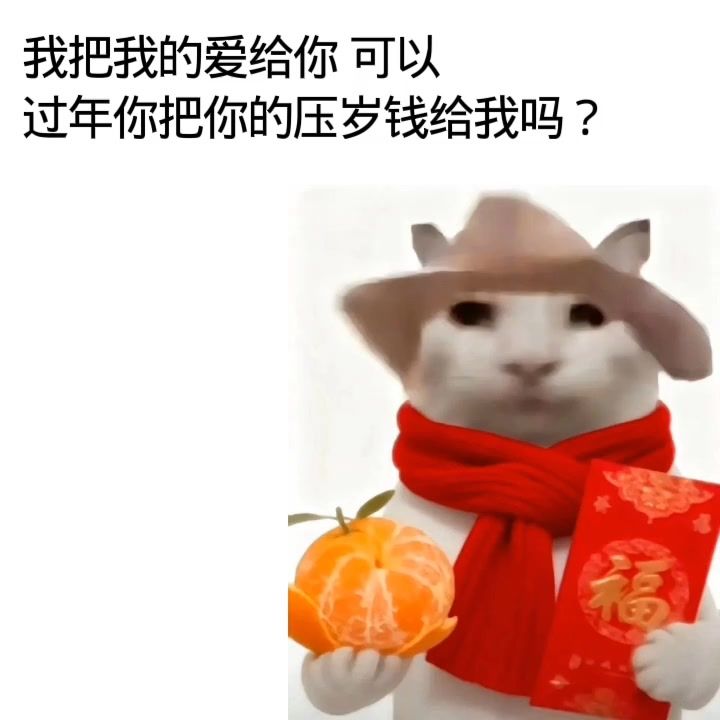 video-5613490