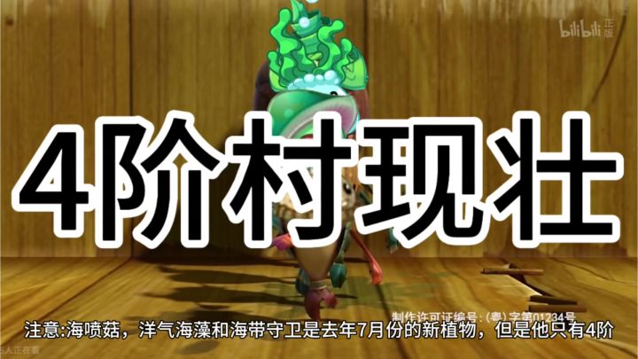 4阶村现状截图