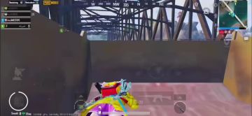 国外吃鸡大佬扫车