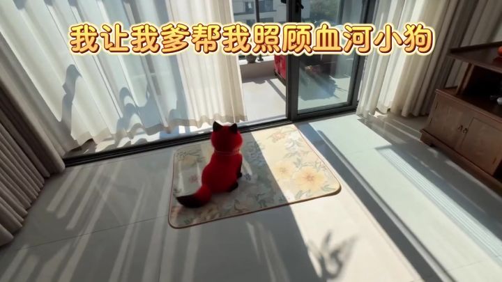 当我让我爸照顾一天血河小狗😦截图