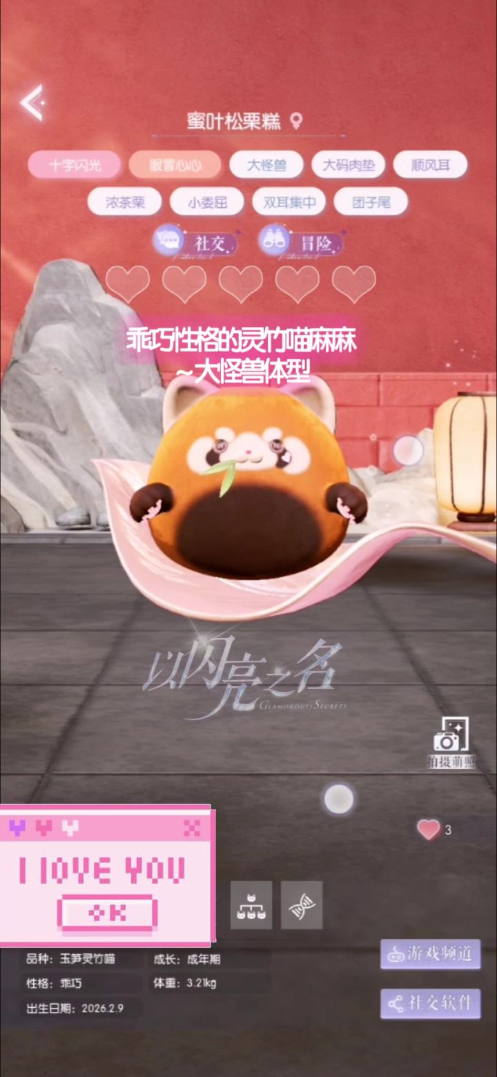 萌宠荔枝喵&多巴胺色彩记录截图