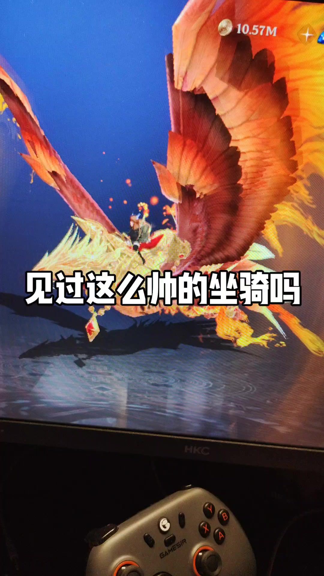 video-5631919