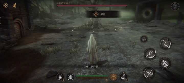 伊琳娜一无四禁主线的几个boss截图