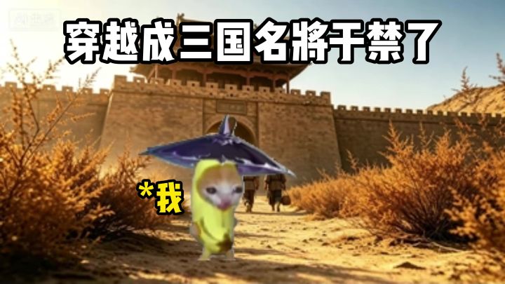猫meme之穿越成三国名将截图