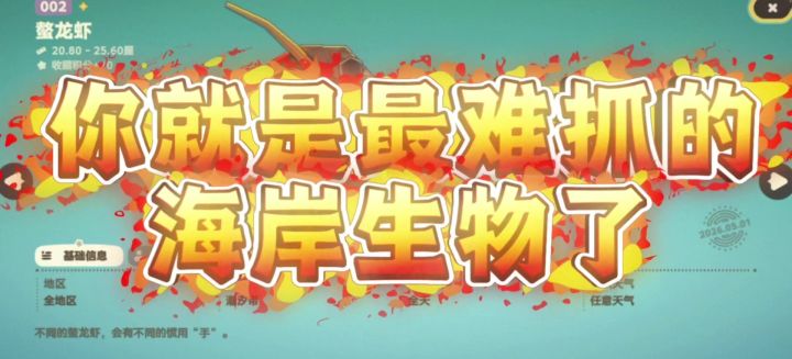 海岸生物螯龙虾真难抓截图