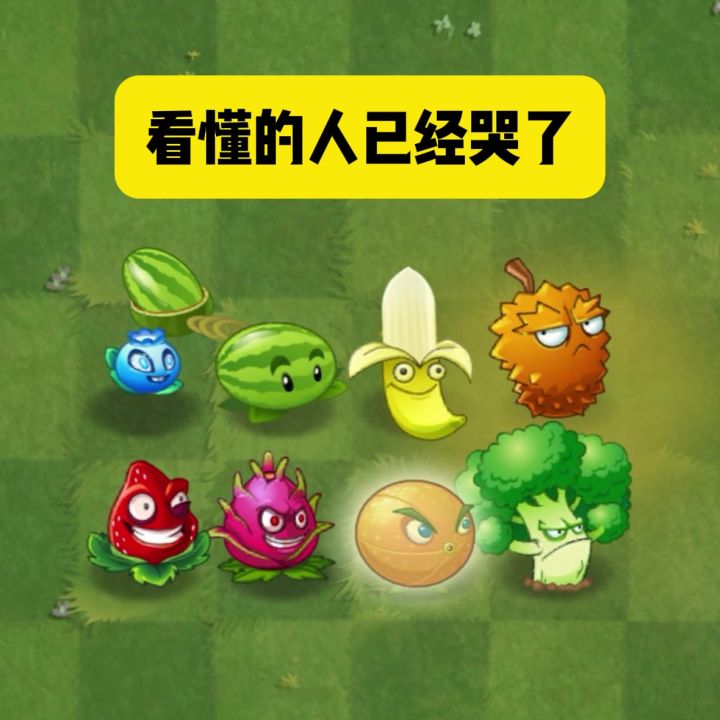 看懂的人已经哭了截图
