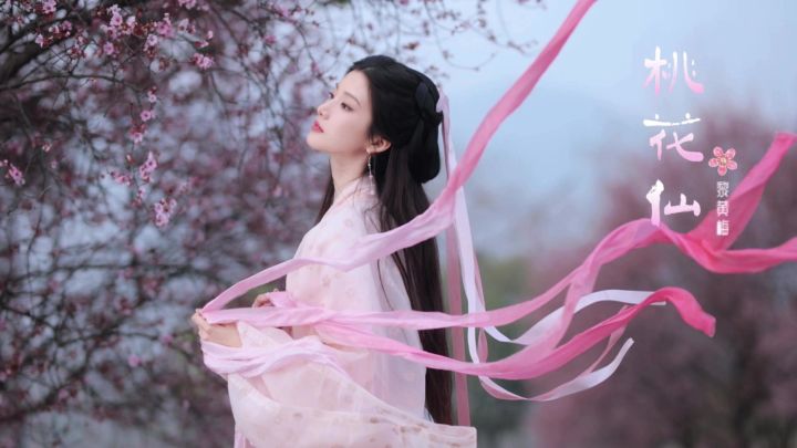 【音乐】《桃花仙》Vlog截图