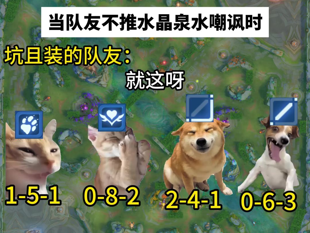 video-5641449