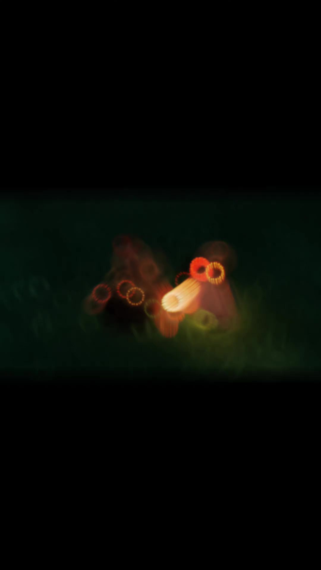video-5643466