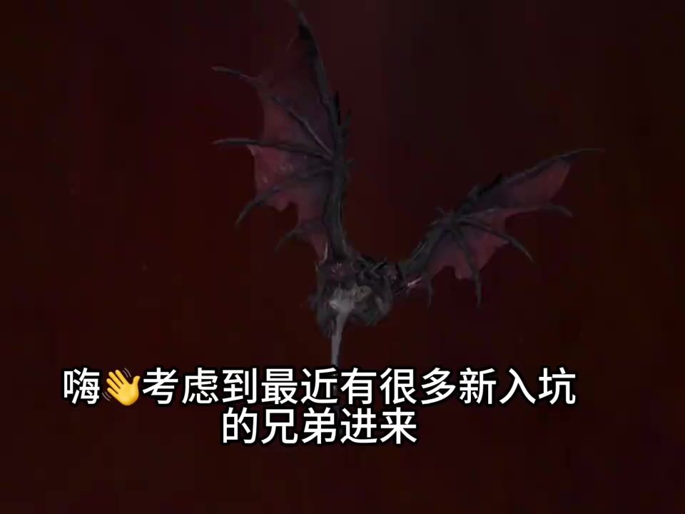 video-5644705