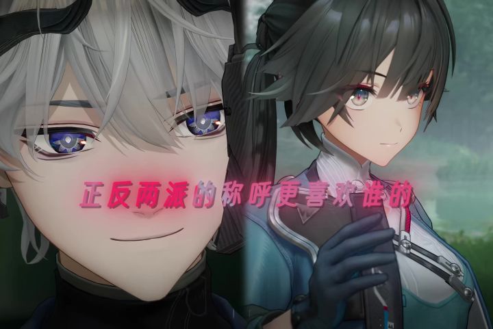 “正反两派的称呼你更喜欢谁的”截图