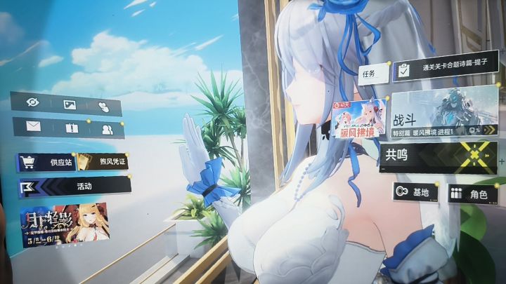 狸花猫的回光返照。截图