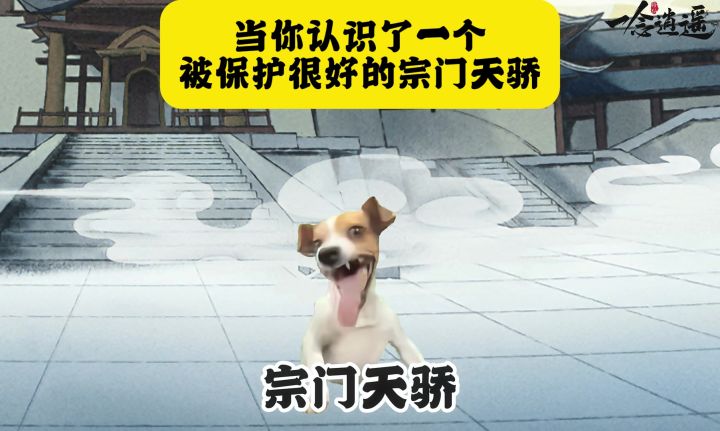 当你认识了一个被保护很好的宗门天骄截图