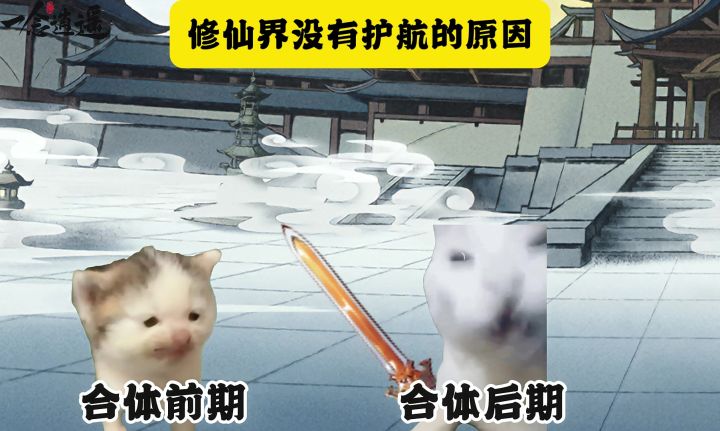 修仙界没有护航的原因截图