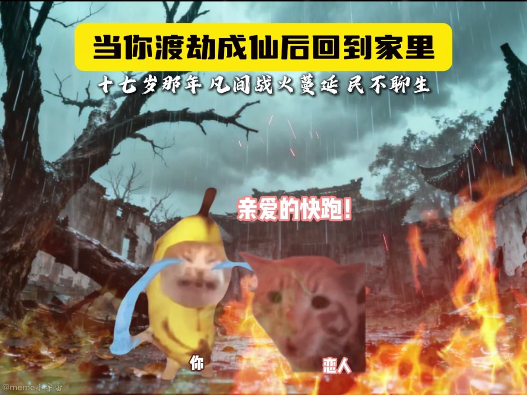 video-5649912
