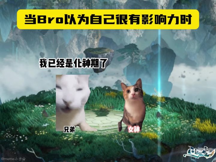 当Bro以为自己很有影响力时【问剑长生】截图