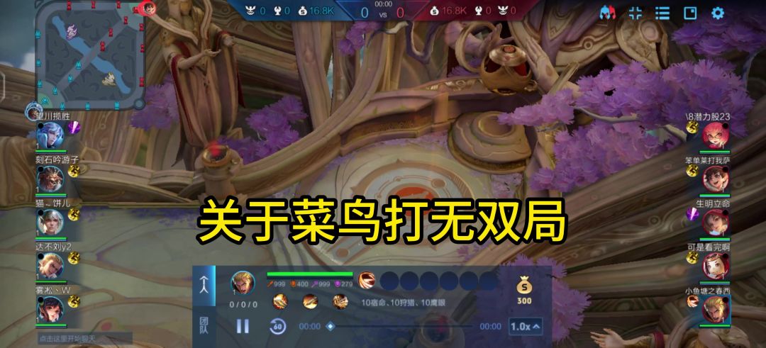 video-5650340