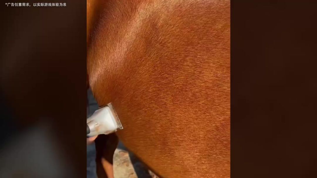 video-5654970