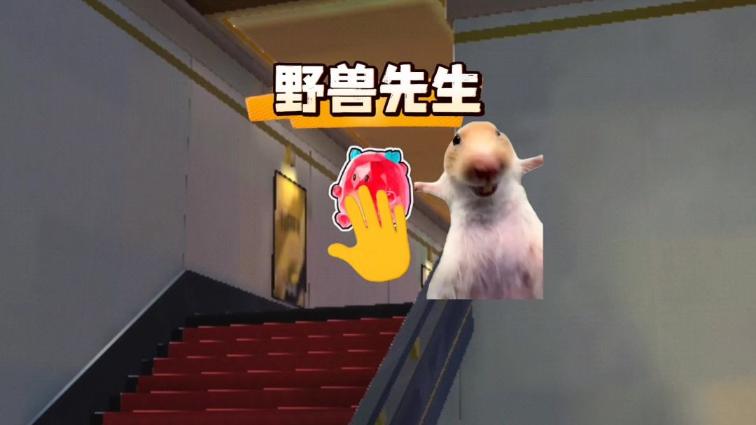 video-5655240