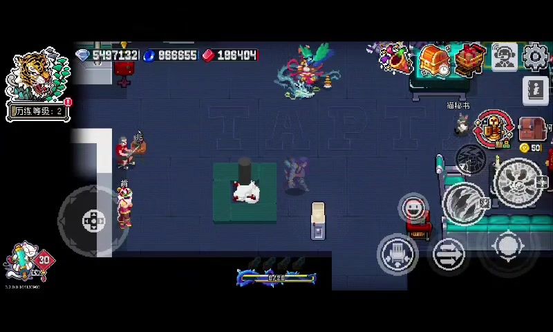 video-5656440