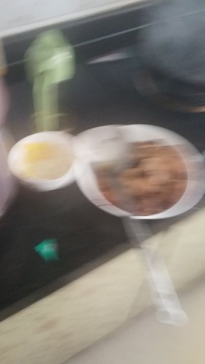 我和我家猫截图