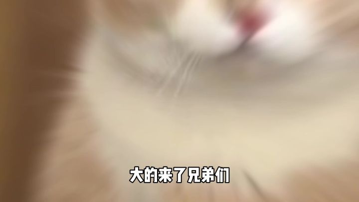 庄方宜闪亮登场!锵锵锵~截图