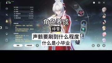 绯雪声骸养成参考