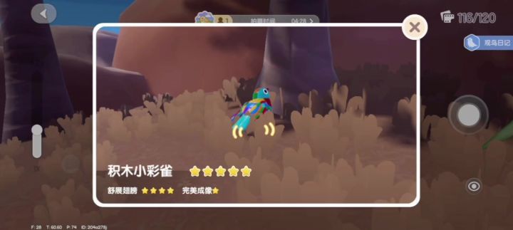 拼合街市限定鸟类五星纯享版截图