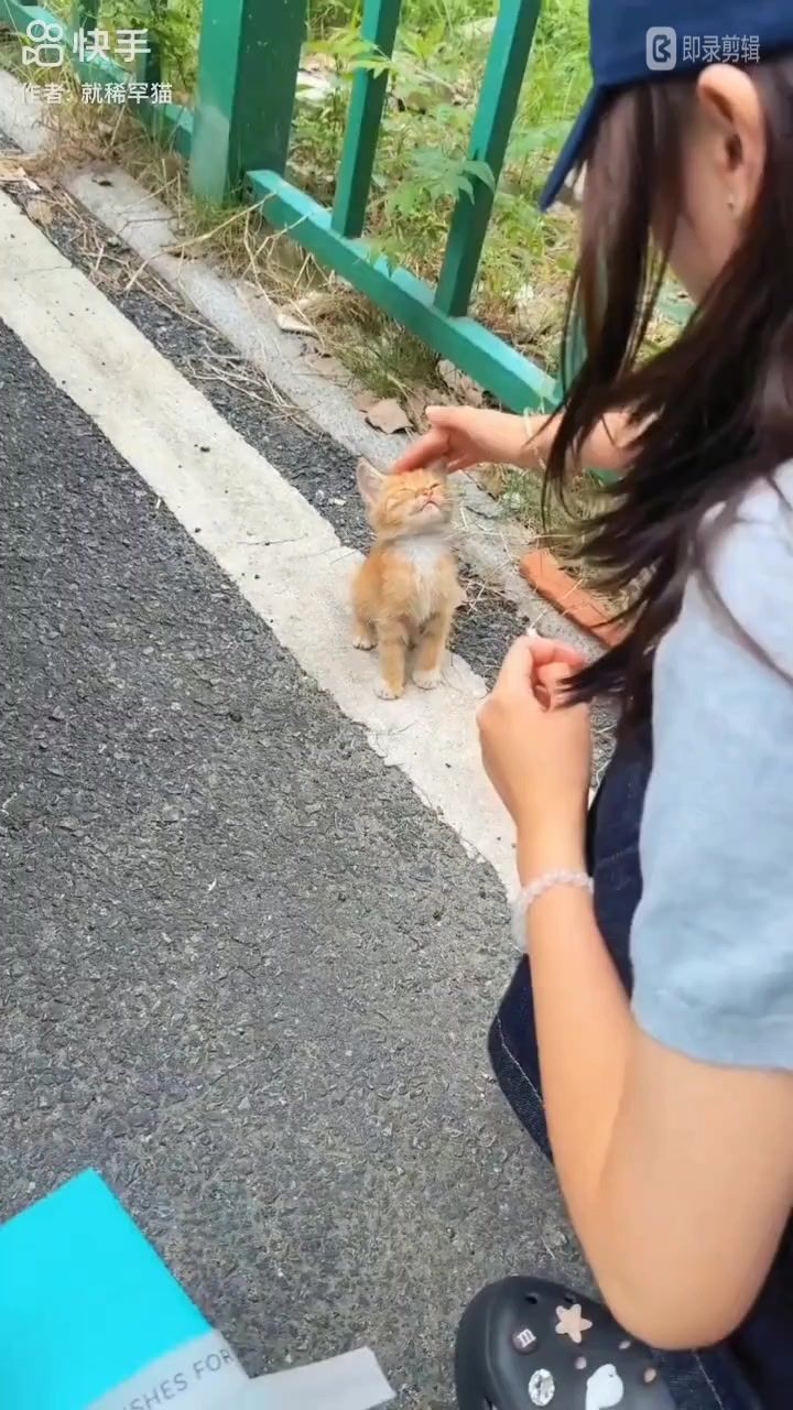 小猫咪截图