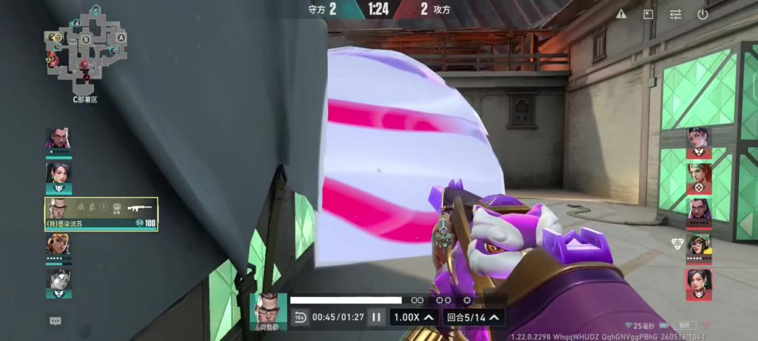 video-5663522