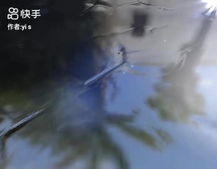 为什么逃跑两年内塌成这样？截图