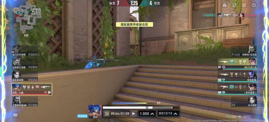 video-5665531