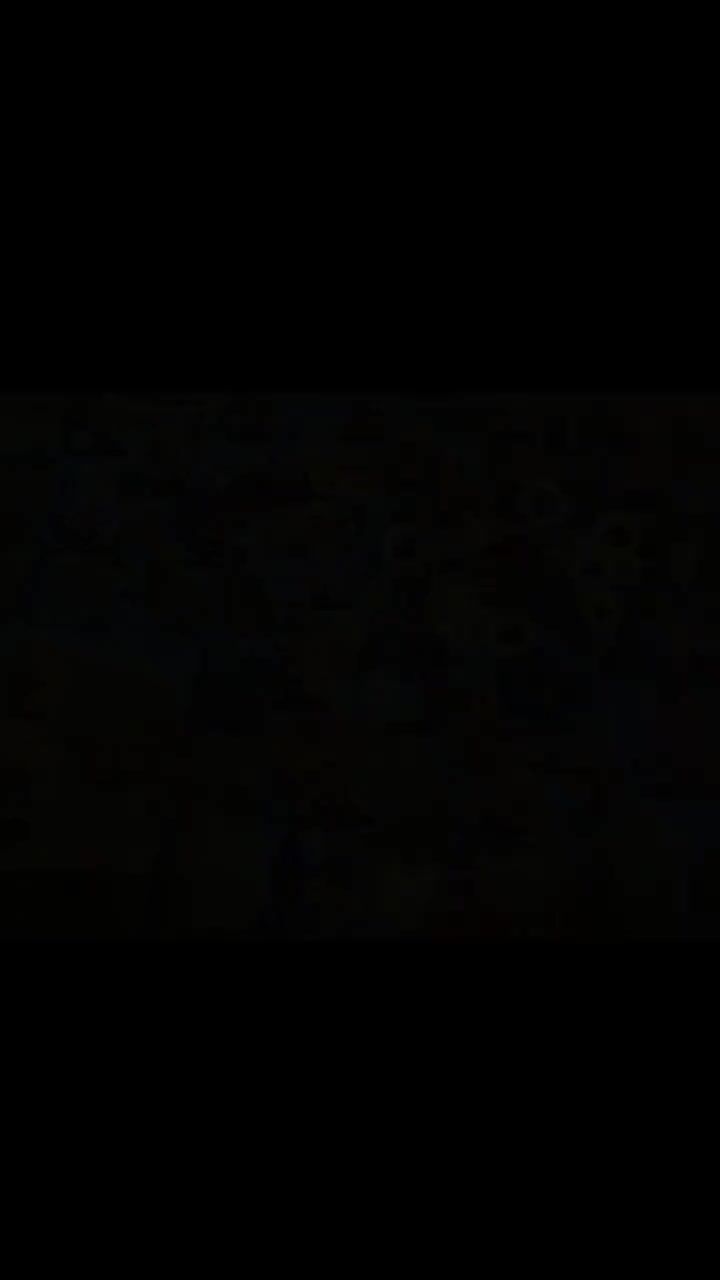 video-5669012