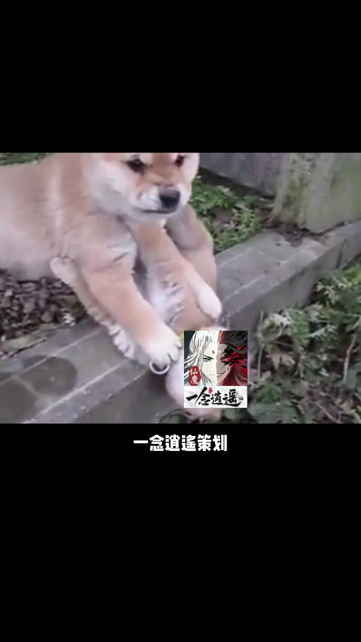 果然血修就是这么不讲道理截图