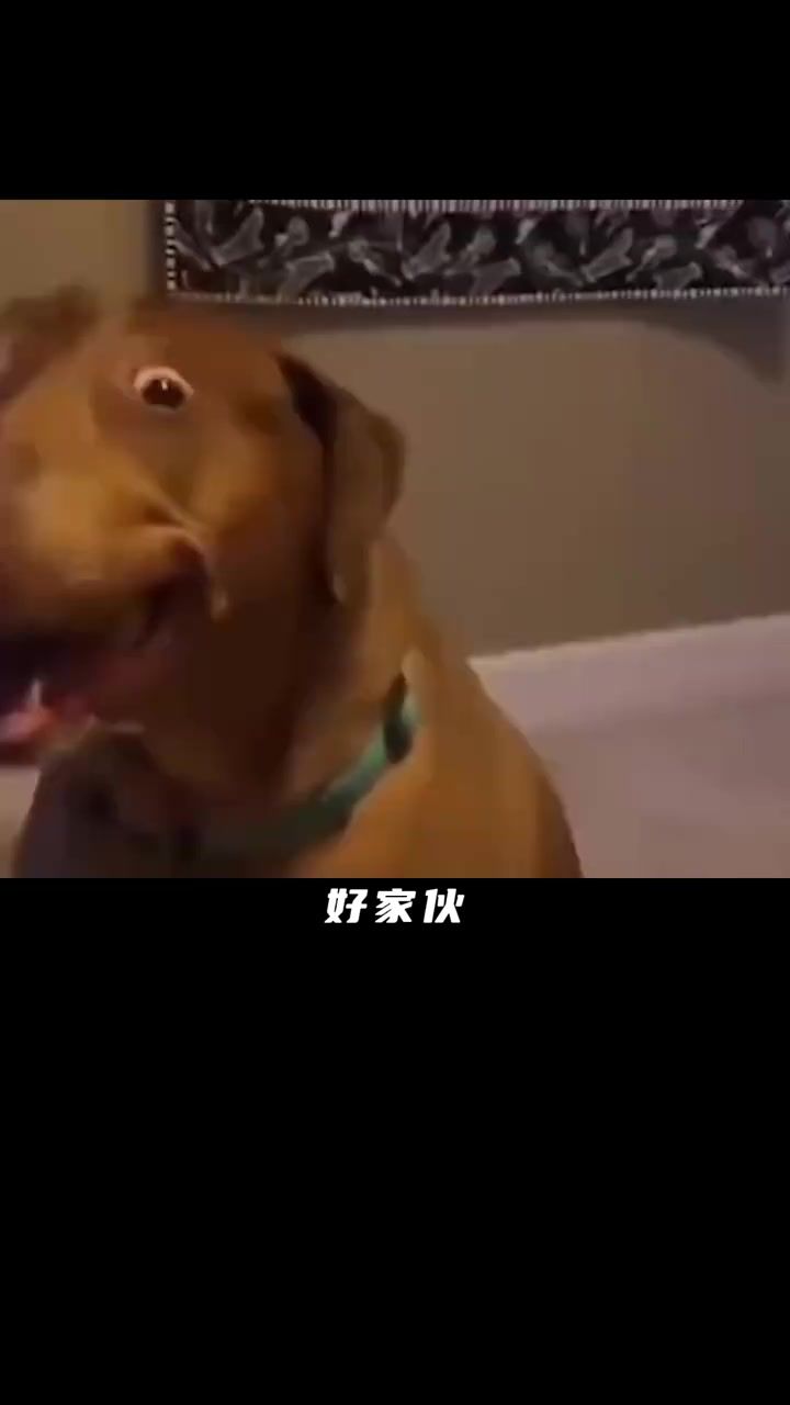答应我别在外面玩了,好东西偷摸玩就行哈!截图