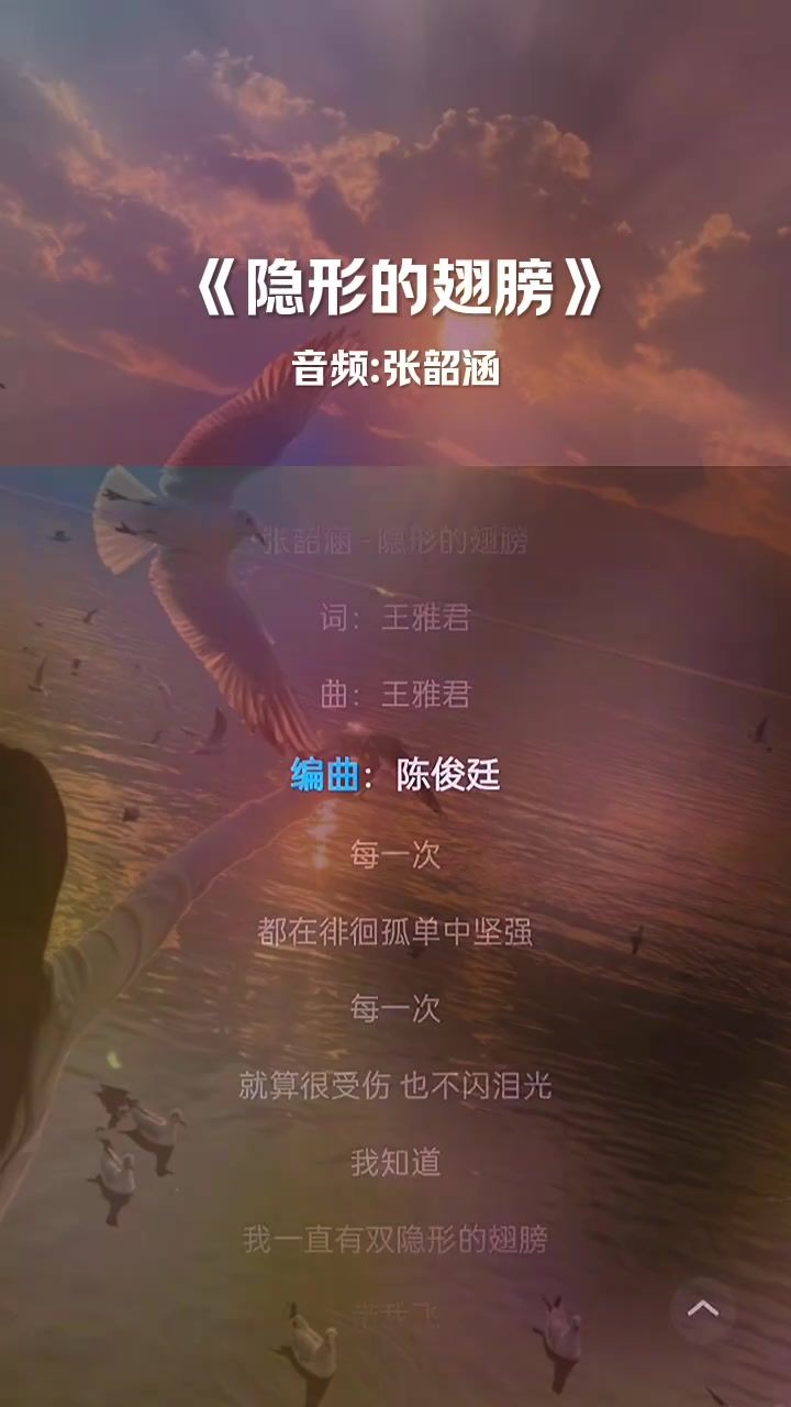 隐形的翅膀截图