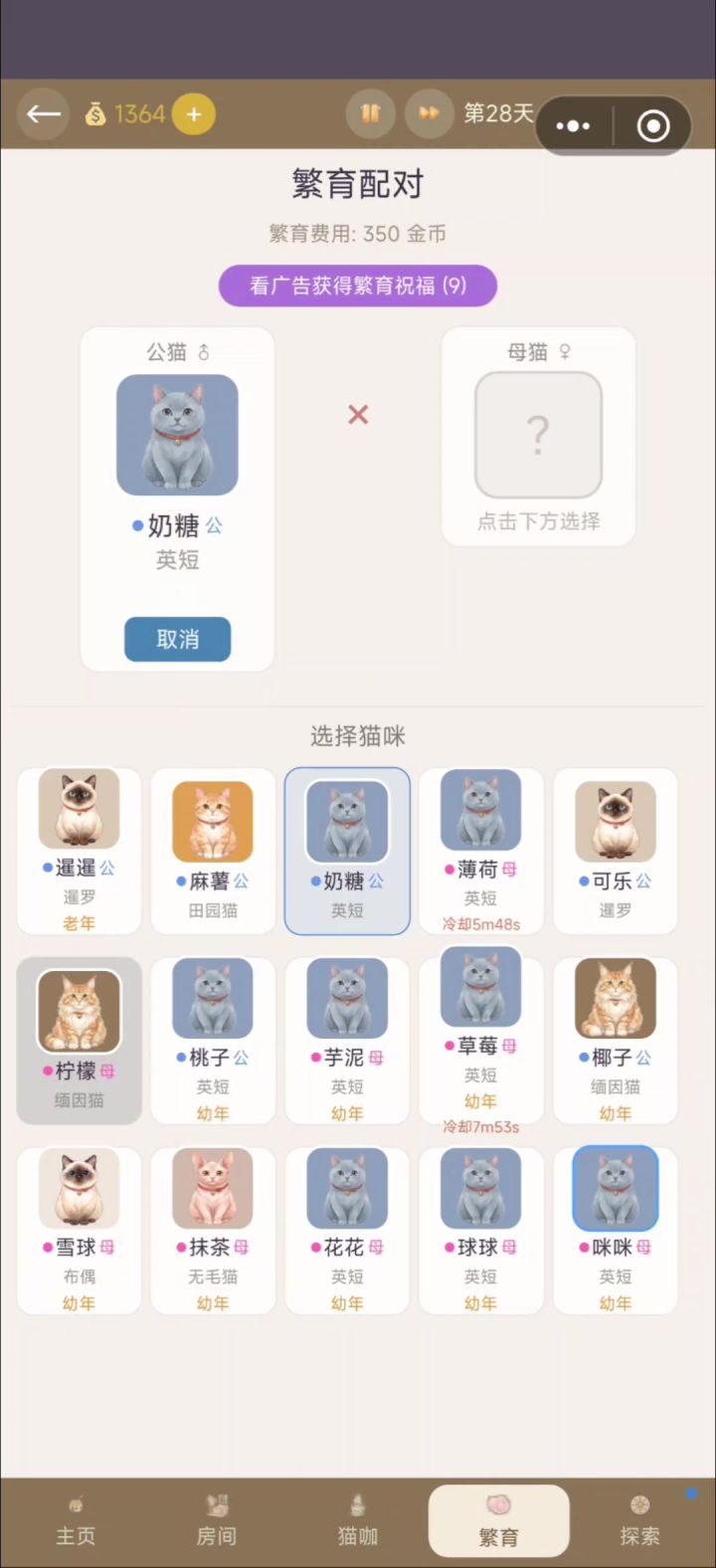 游戏自荐《猫咖模拟器》截图