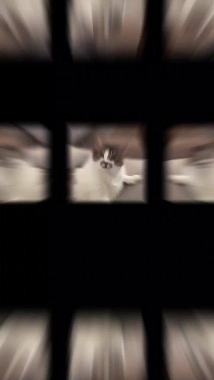video-5678044