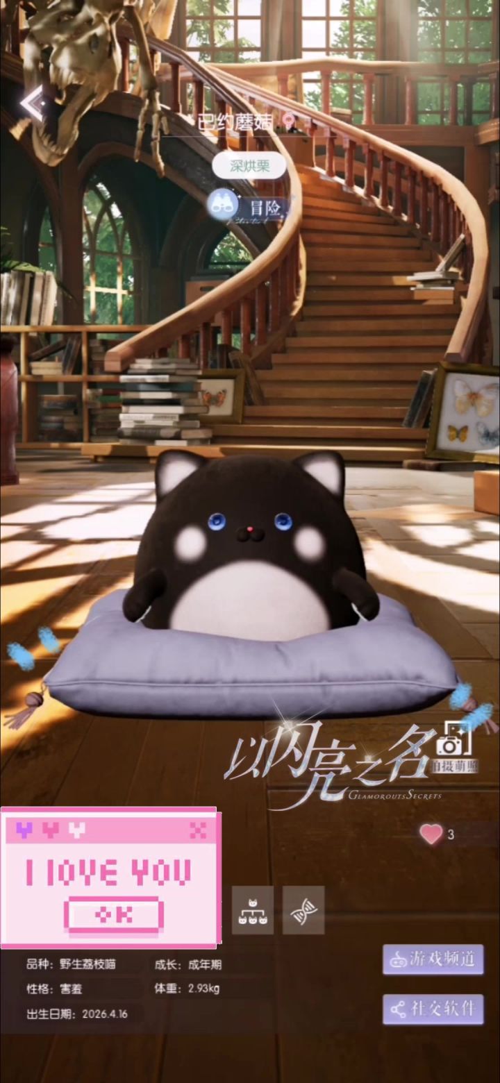 以闪亮之名萌宠荔枝喵截图