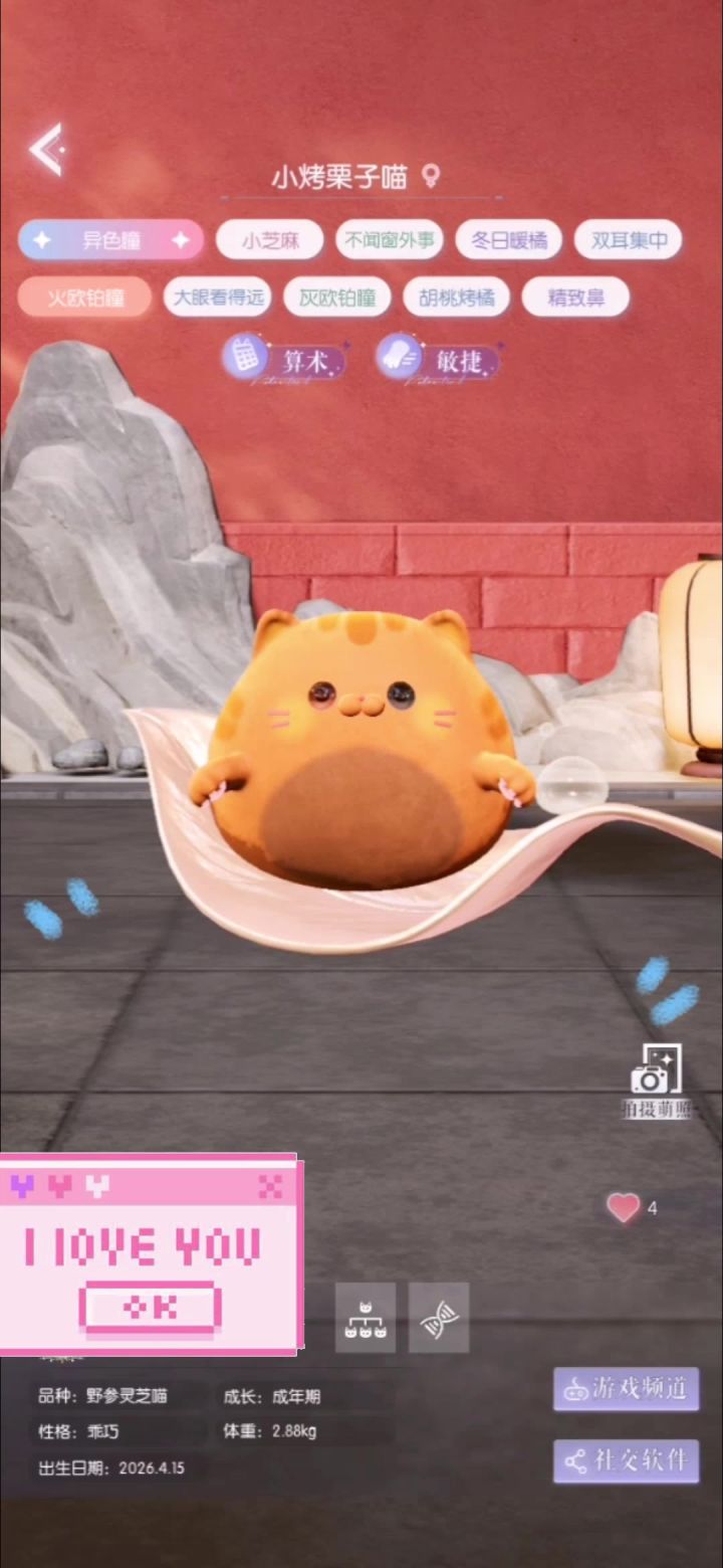 以闪亮之名萌宠荔枝喵“美食系🥧荔枝喵”截图