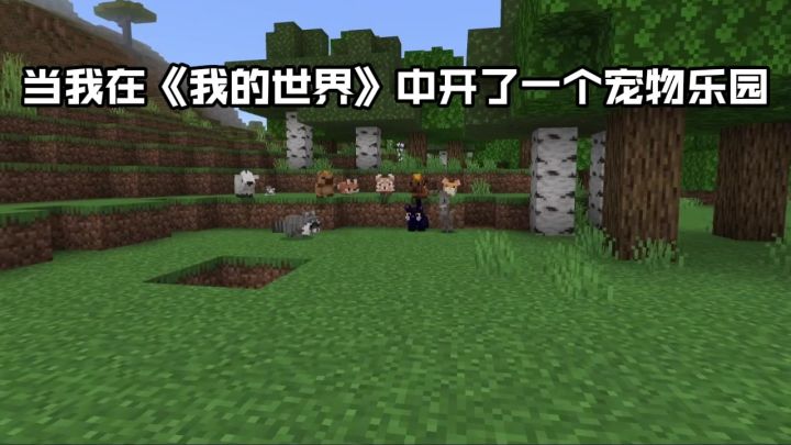 模组焕新来袭，奇幻森林 + 精灵伙伴，冒险趣味翻倍截图