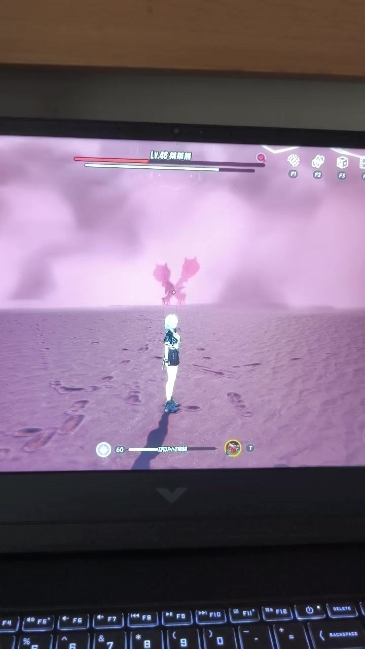 video-5688526