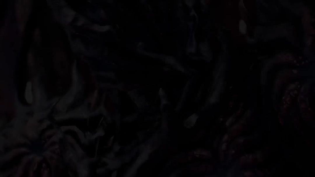 video-5691524