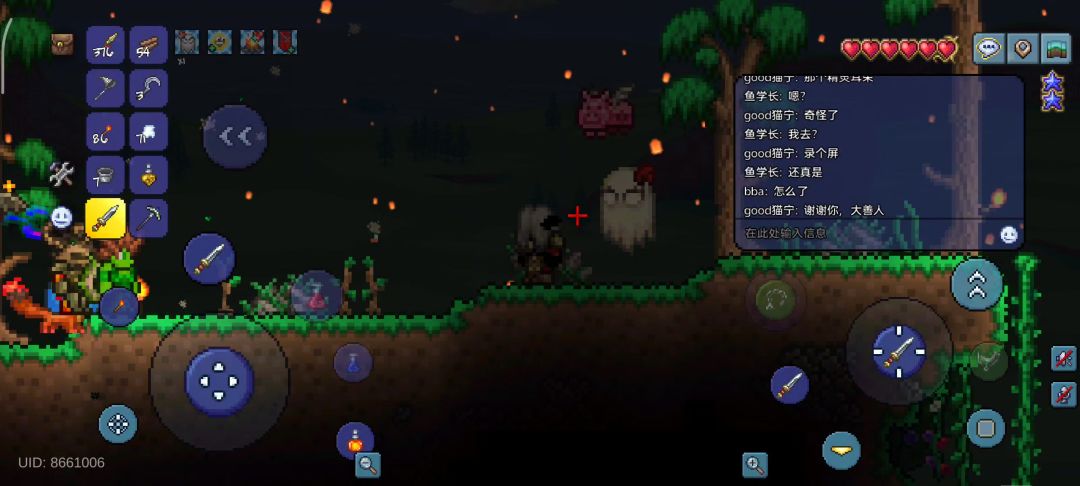 video-5691729